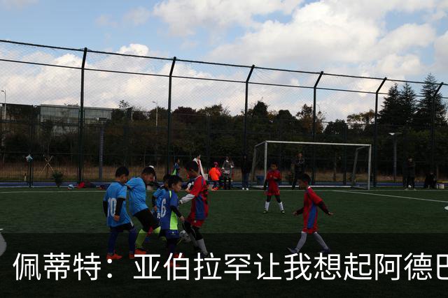 佩蒂特：亚伯拉罕让我想起阿德巴约 他适合阿森纳